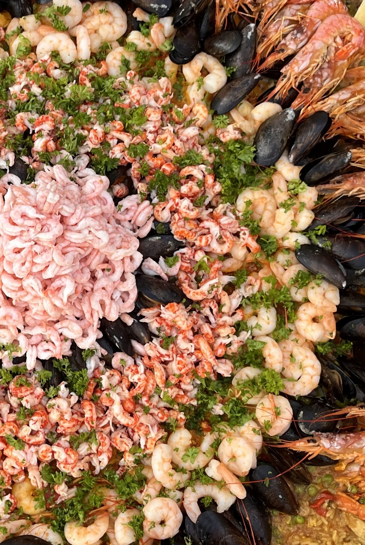 Paella Catering Malmö